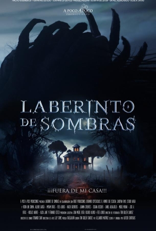 Лабиринт теней